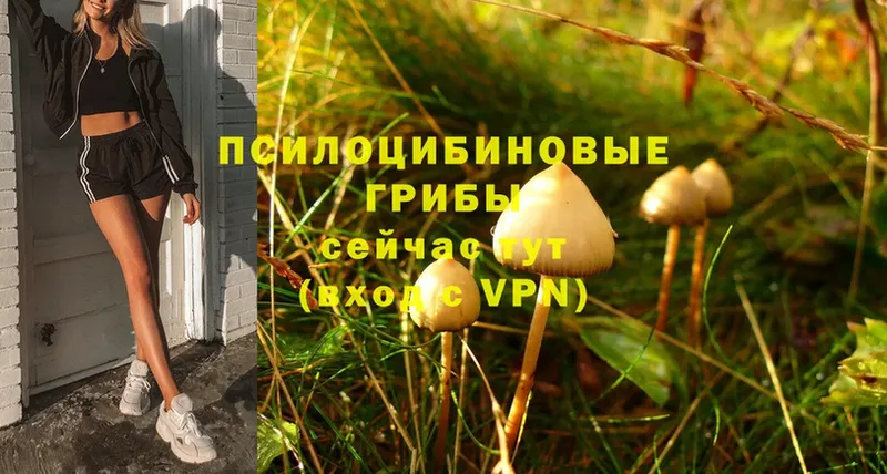 Псилоцибиновые грибы Psilocybine cubensis  мега ссылка  Белая Калитва 